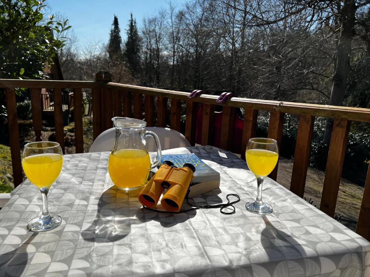 Blairgowrie and Rattray Ericht Holiday Lodges מראה חיצוני תמונה