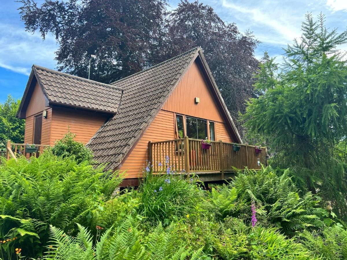 Blairgowrie and Rattray Ericht Holiday Lodges מראה חיצוני תמונה